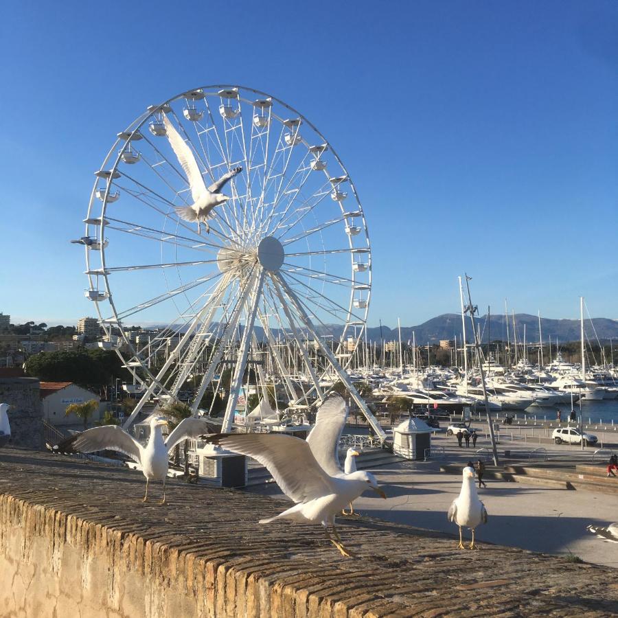 Tortue De Mer 昂蒂布 外观 照片